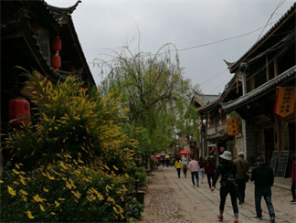 微信图片_20220317200401