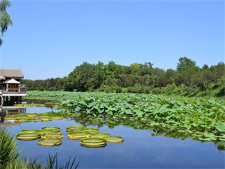 src=http___dimg06.c-ctrip.com_images_100b0t000000ipdxf1EDB_R_1024_10000_Q90.jpg&refer=http___dimg06.c-ctrip